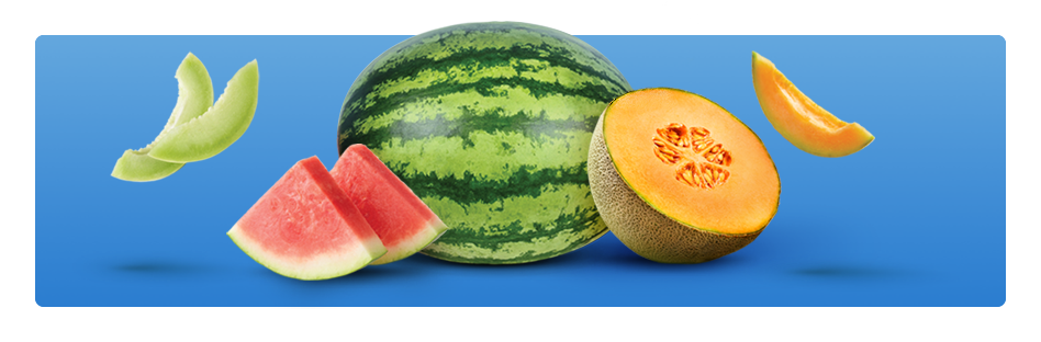 Juicy sliced Watermelon, Cantaloupe and Honeydew