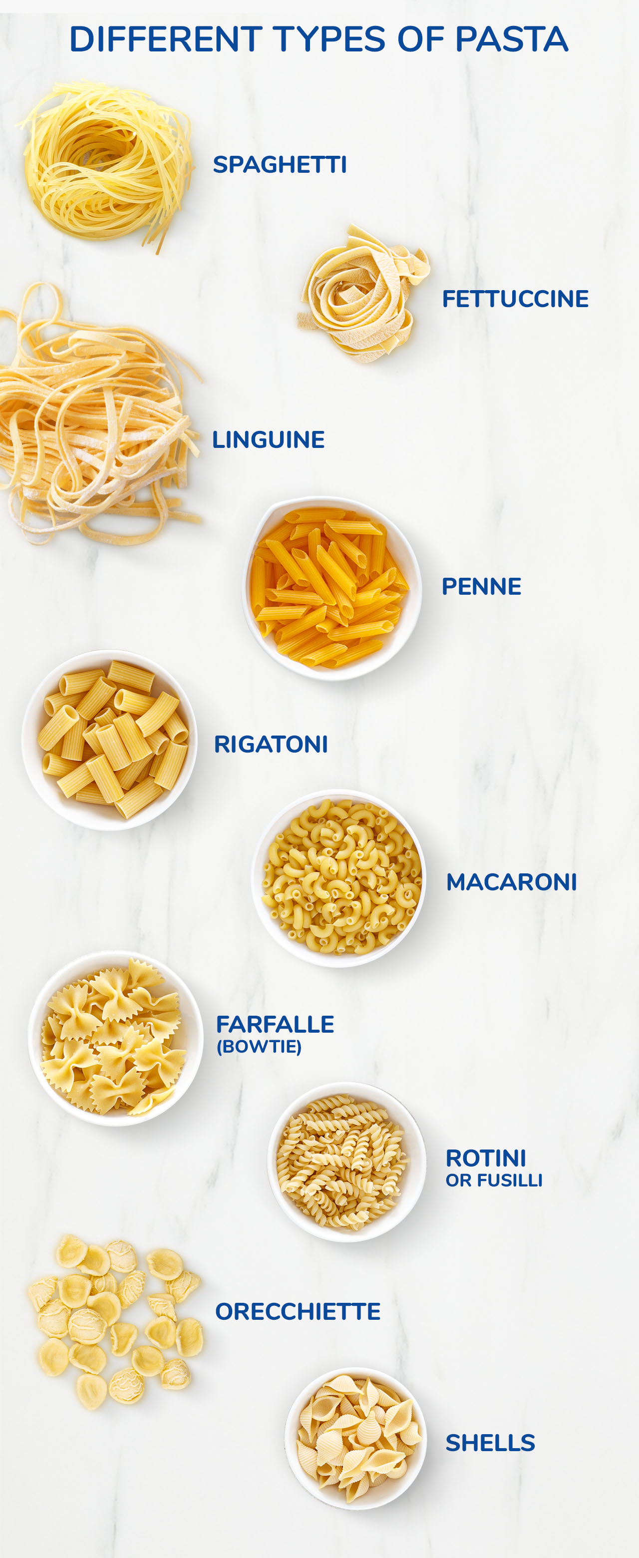 Different Types of Pasta