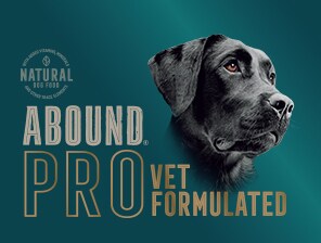 Abound high protein dog food outlet