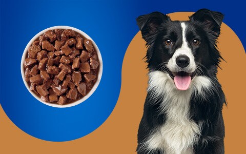 Pet Pride Dog Food Cat Food Treats Toys Kroger Gerbes