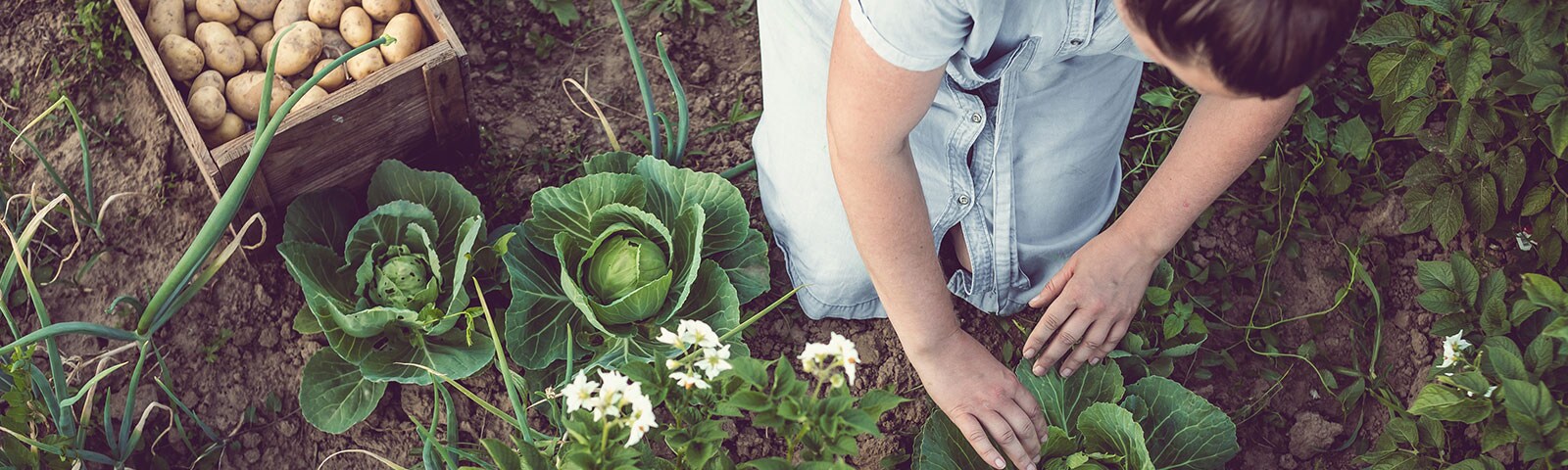 Woman sitting and gardening produce