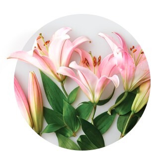 Floral Home