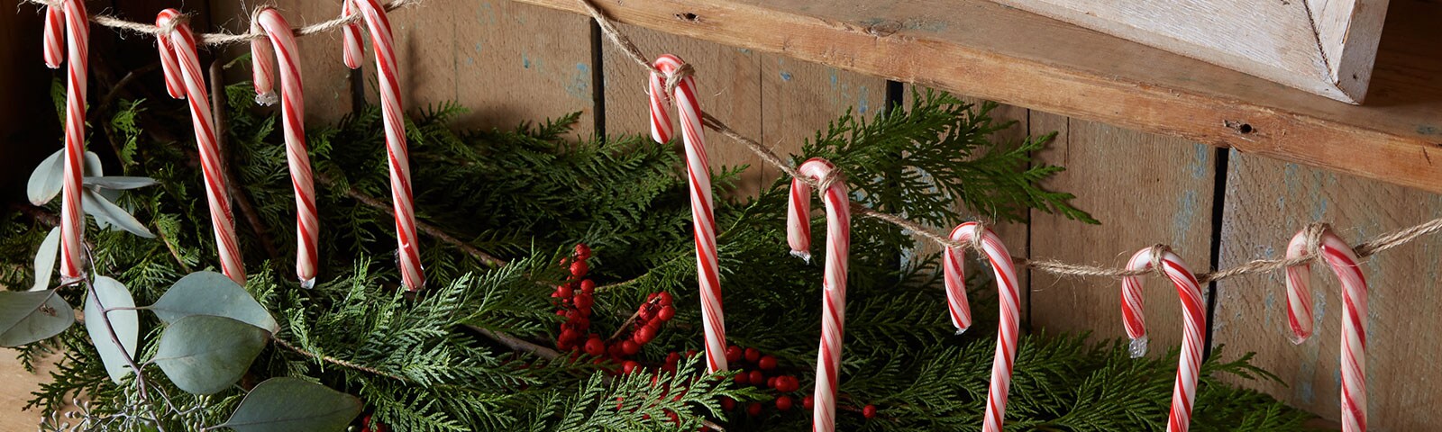 Rustic wood background featuring candy canes strung up on twine and below them a neat pile of evergreen branches and holly