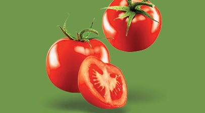 Fresh Tomatoes