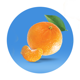 Fresh Clementines Are Here for the Season